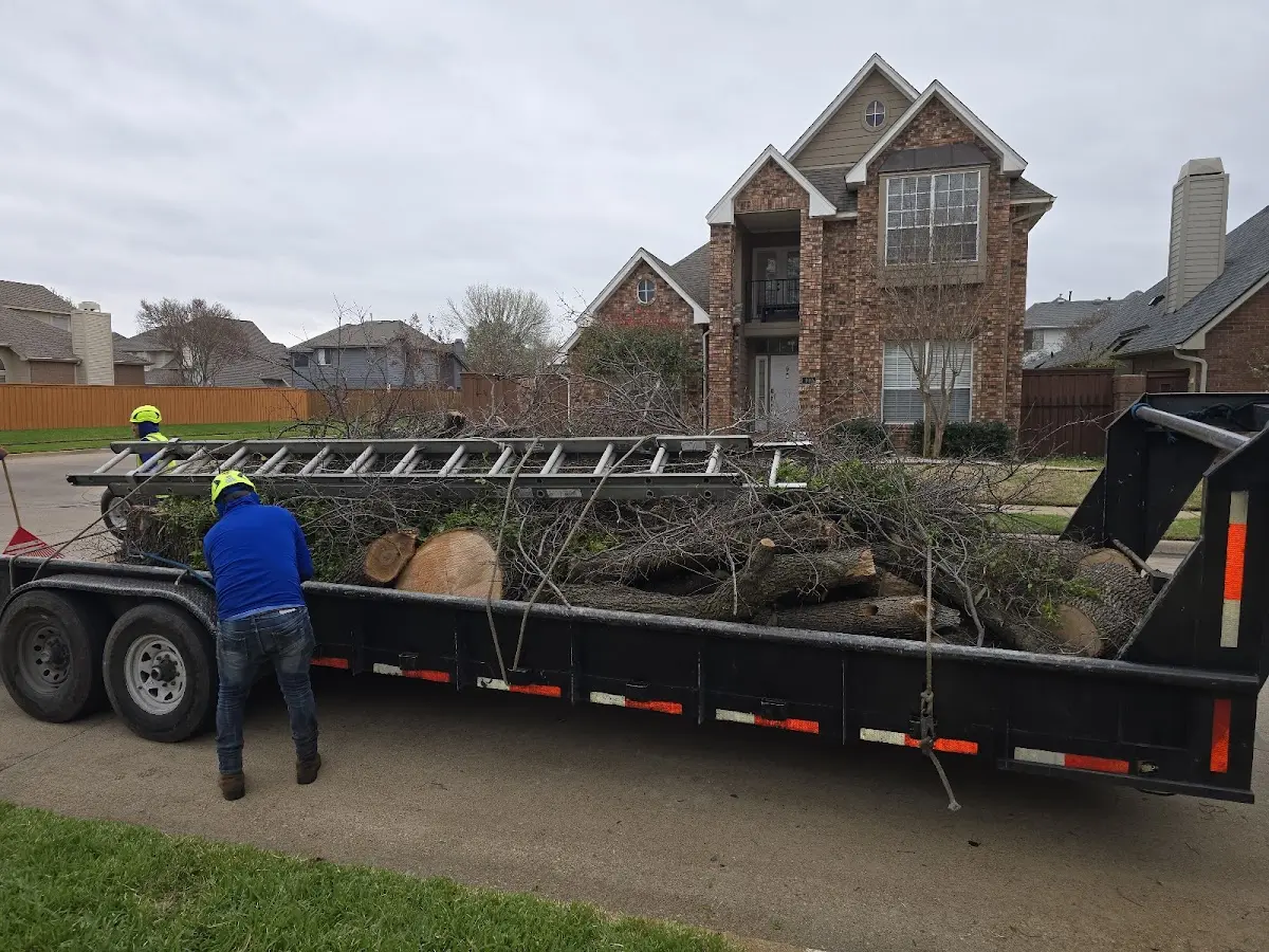 Expert Tree Removal with proper safety equipment in Long Pond